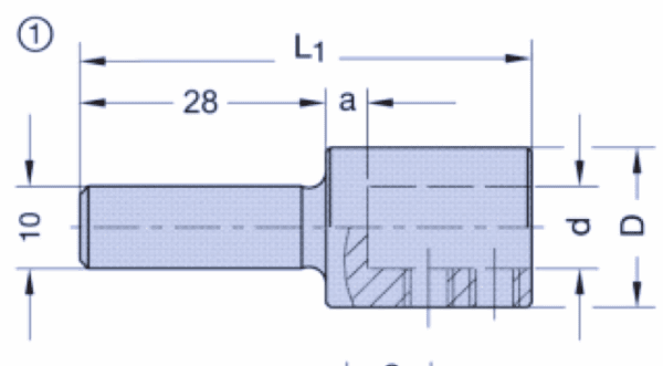 Technical drawing of a mechanical shaft showing dimensional specifications including overall length L1, a 28mm section length, diameter measurements labeled as d and D, a 10mm dimension, and parameter 'a'. The drawing includes both external profile and cross-sectional details with internal features visible in the larger diameter section.